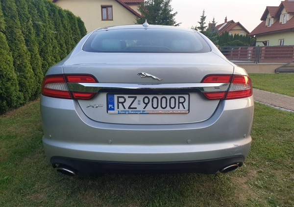 Jaguar XF cena 58000 przebieg: 65000, rok produkcji 2013 z Rzeszów małe 254